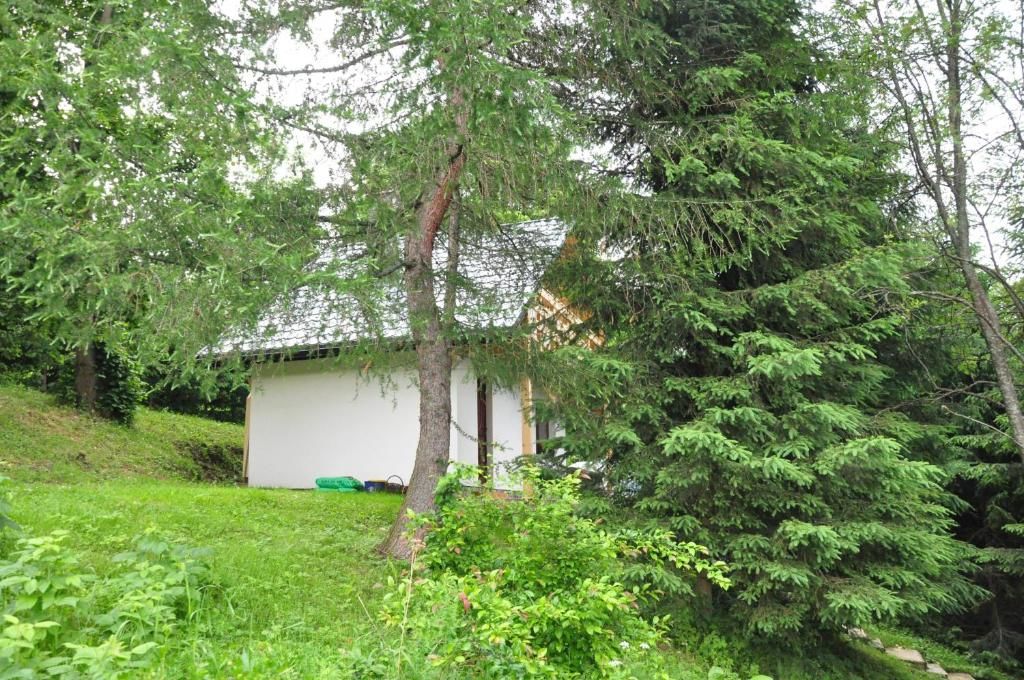 Загородные дома Chatka Pod Trohańcem Лютовиска-36
