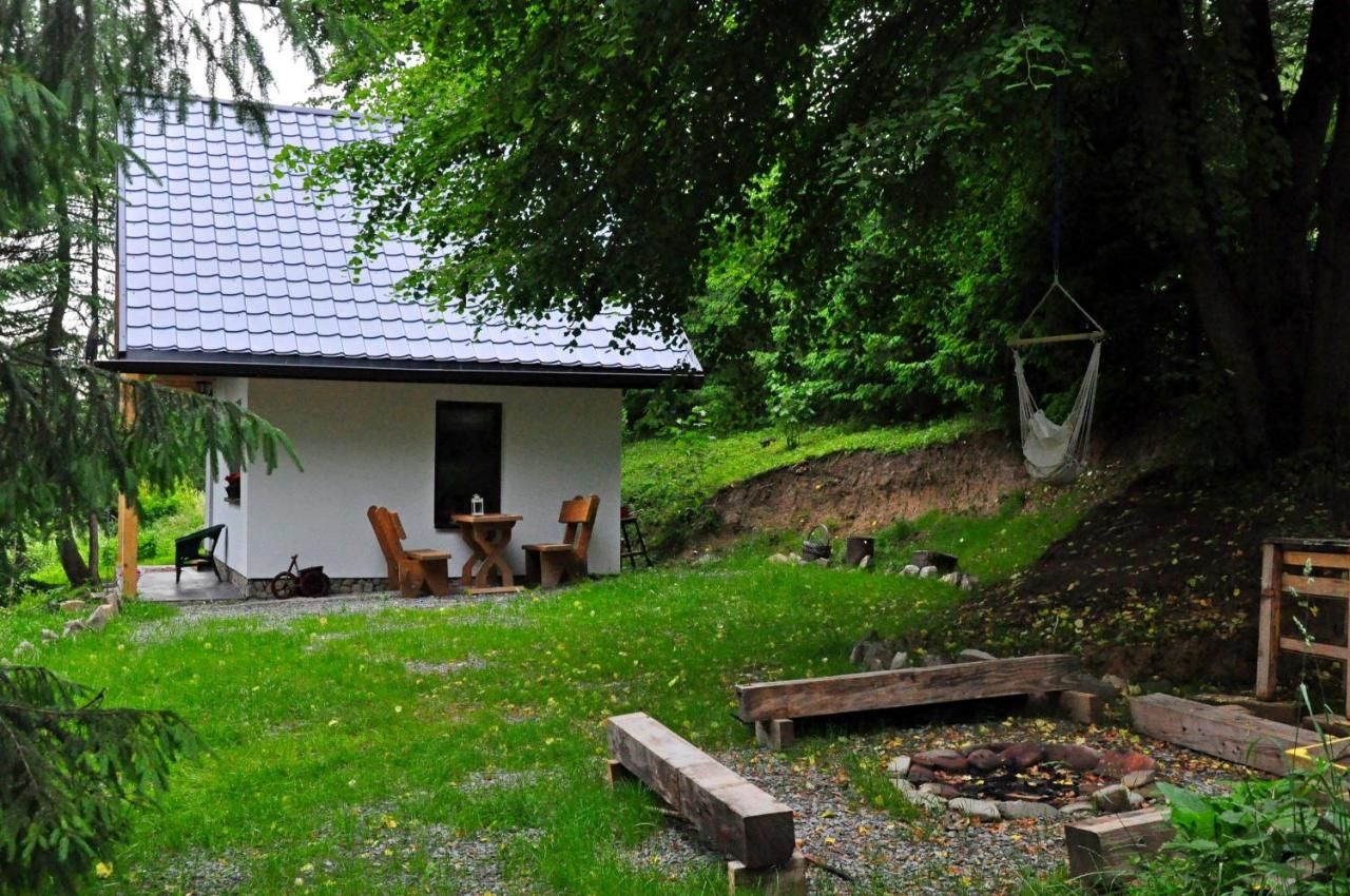 Загородные дома Chatka Pod Trohańcem Лютовиска